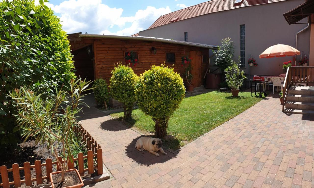 Renata Vendeghaz Hotel Eger Exterior photo